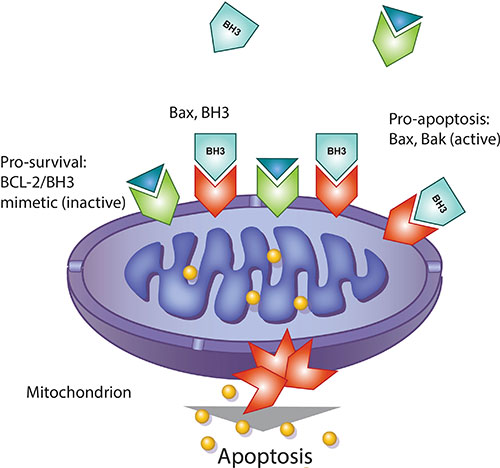 leukemia